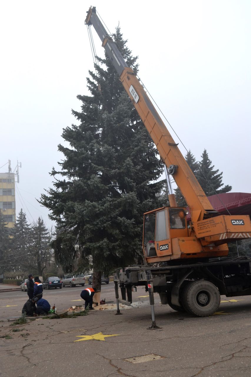 Рождественскую елку в Унгенах зажгут 20 декабря