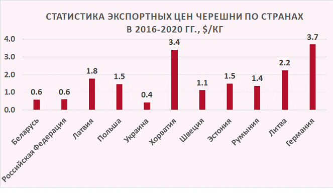 Садоводы: Экспорт черешни в Россию и Беларусь ниже, чем в прошлом году