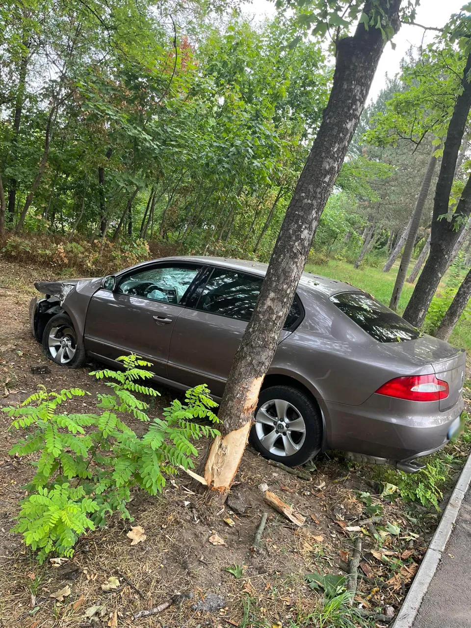 Поврежденную Skoda Superb нашли прохожие посреди столичного парка