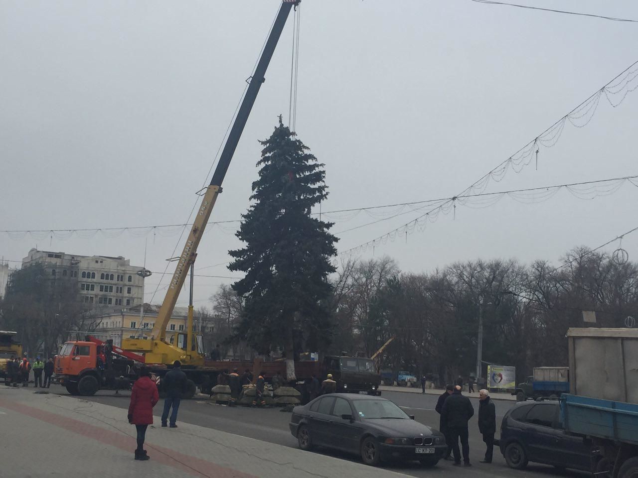 На центральной площади Кишинева установили новогоднюю елку