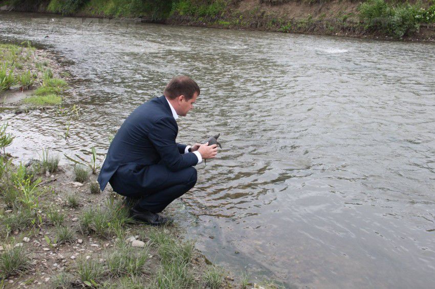 Мунтяну дал кличку найденной черепахе и отпустил ее в воду
