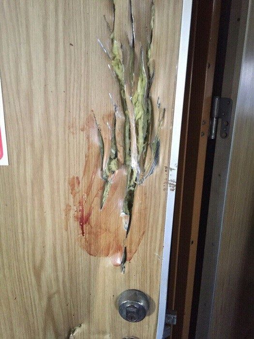 Под Одессой на турецком судне произошел бунт