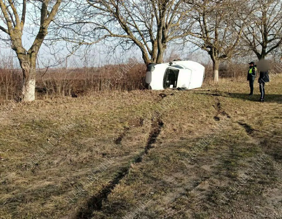 В Рыбницком районе произошло ДТП: автомобиль врезался в дерево