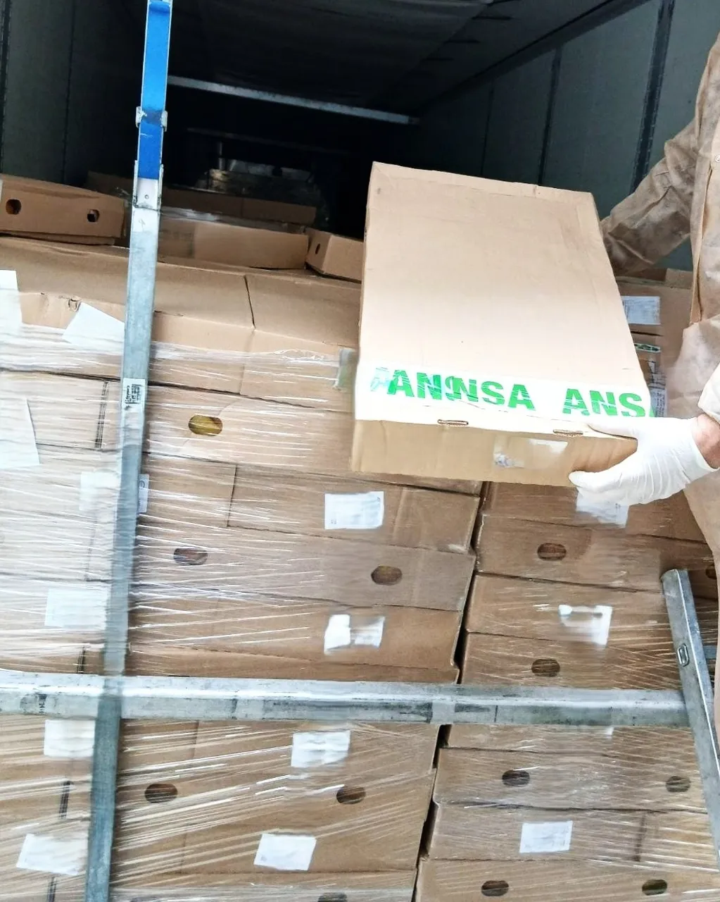 ANSA a blocat la frontieră 21 de tone de carne de pui contaminată cu Salmonella