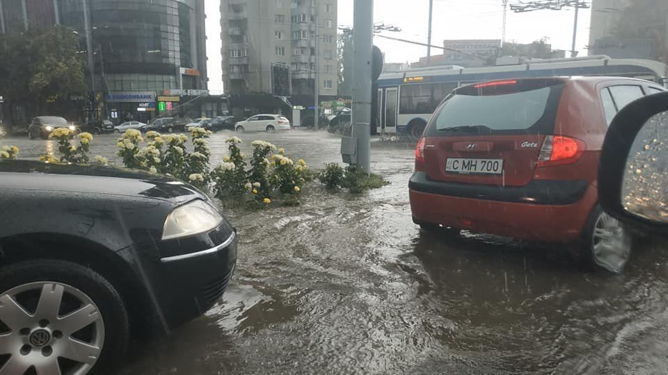 Прошедшие дожди размыли километры дорог и уничтожили гектары подсолнечника