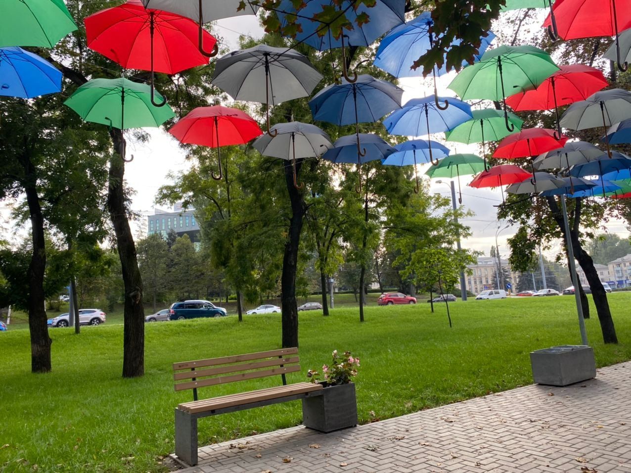 В парке на Буюканах проходит фестиваль зонтов