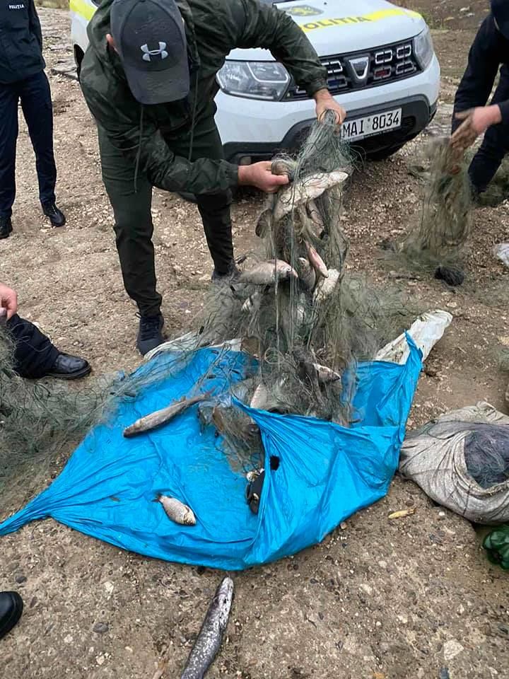 Инспекторы поймали рыбаков-браконьеров на юге Молдовы