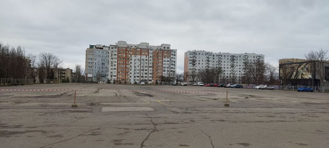 В Кишиневе 100 водителей выстроили из автомобилей новогоднюю елку