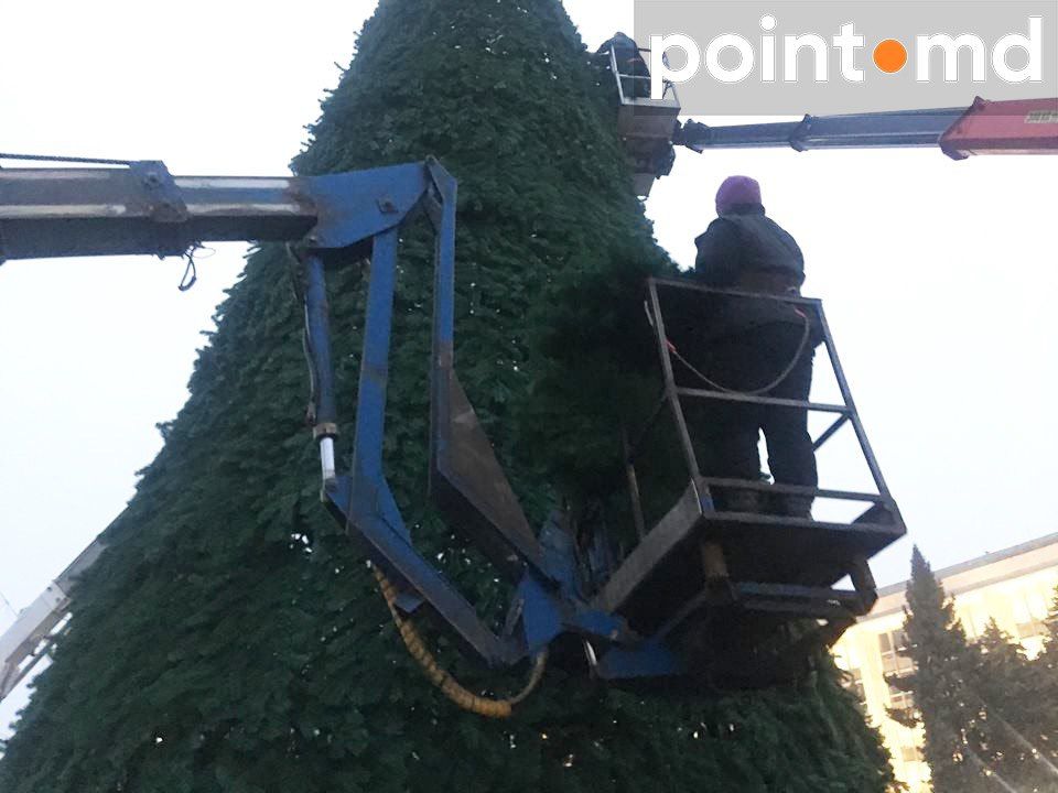 Елку в центре Кишинева начали украшать