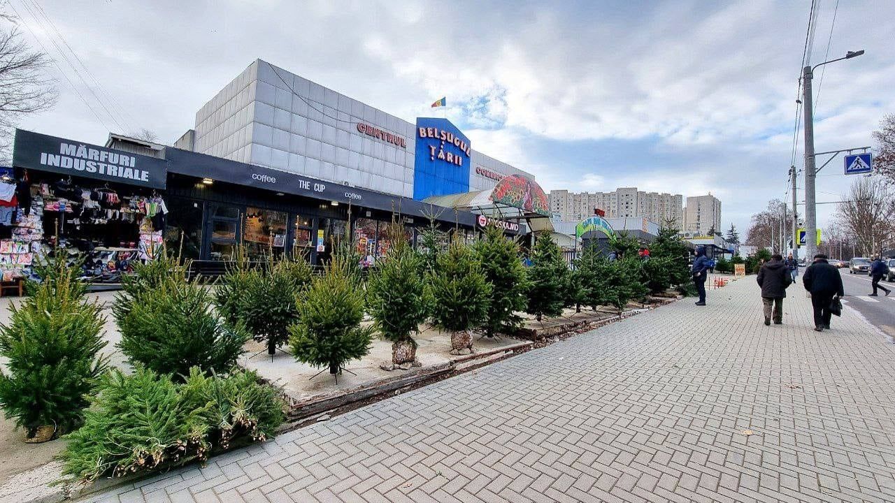 Чебан: Елочные базары будут работать во всех секторах Кишинева