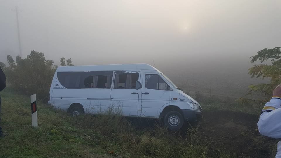 В Криулянах микроавтобус врезался в лошадь, есть пострадавшие