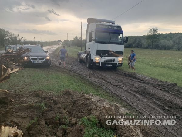 На Комрат обрушилась непогода, упавшее дерево перегородило северный въезд