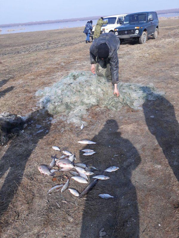 В заповеднике "Prutul de Jos" незаконно выловили 45 килограммов рыбы