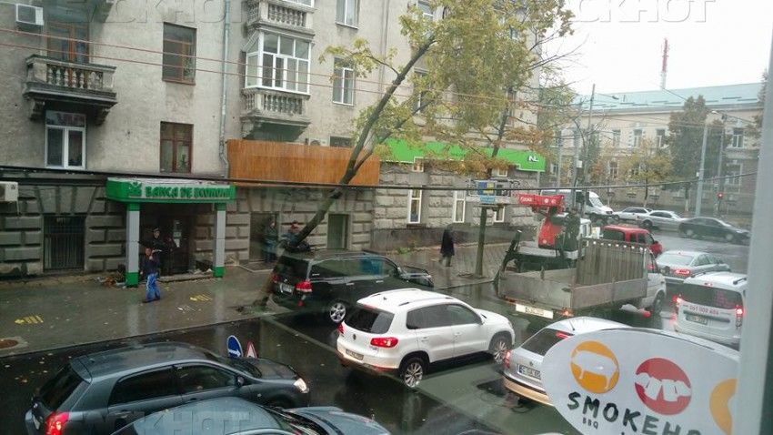 В Кишиневе падающее дерево "опёрлось" на Toyota Land Cruiser