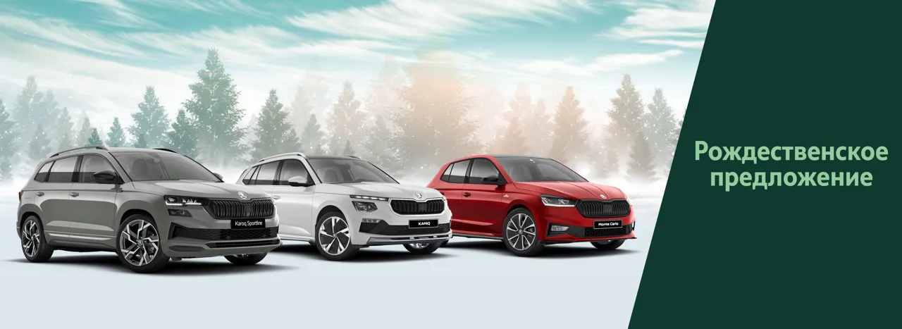 Рождественское предложение от Škoda 2024 – наслаждайтесь отдыхом стильно и экономично