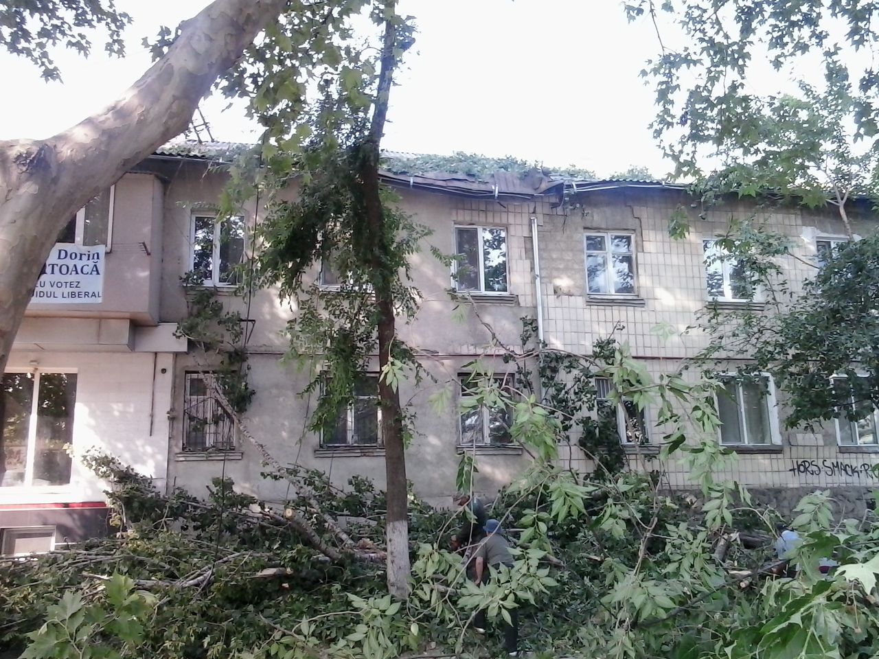 Трехметровое дерево упало на дом