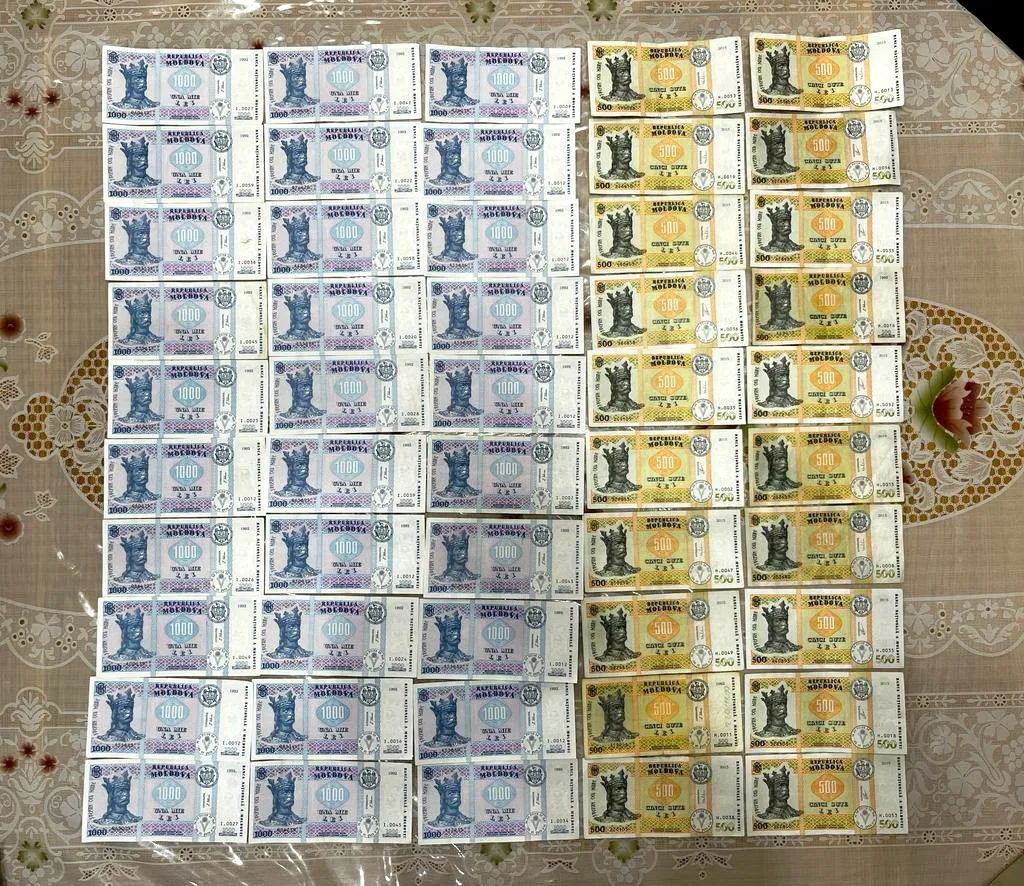 В ходе обысков на севере Молдовы задержаны шесть человек