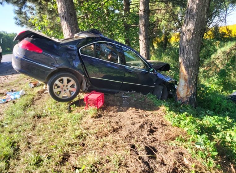 В Рышканах водитель, превысивший скорость, врезался в дерево