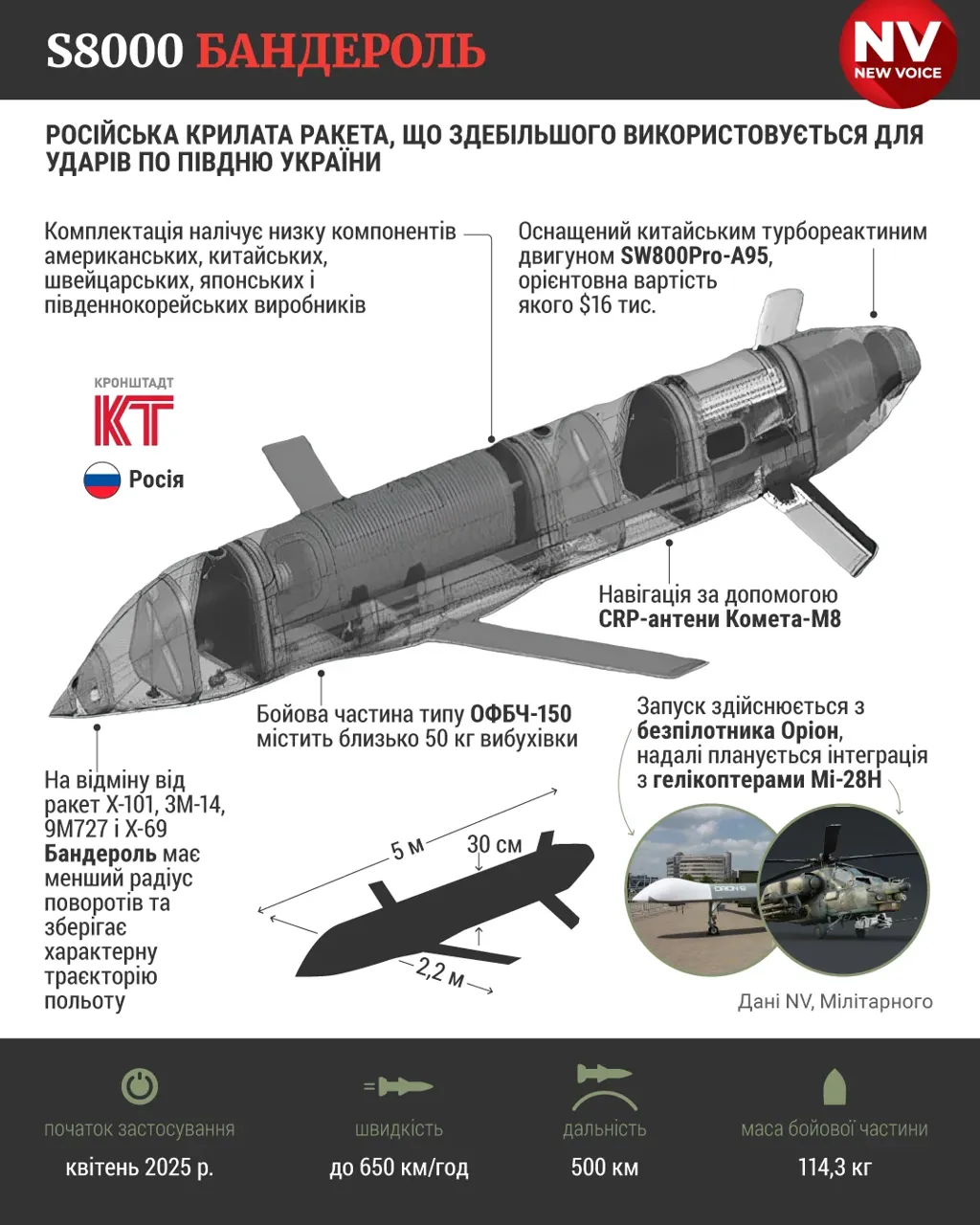 Украинские СМИ: В воздушное пространство Молдовы залетела российская дрон-ракета