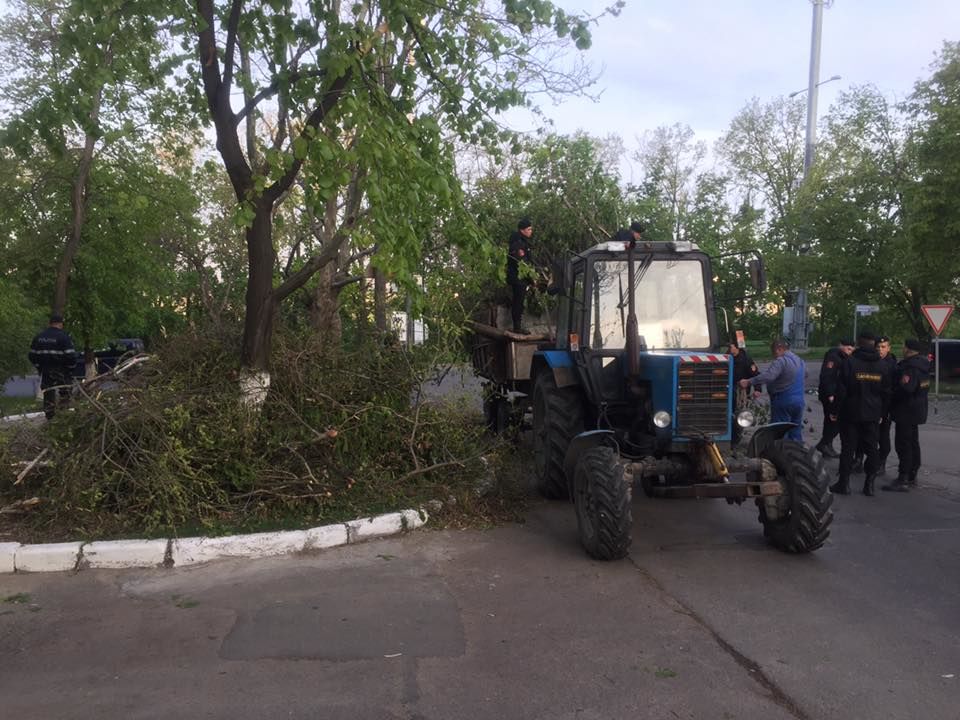 Mii de persoane evacuează crengile rupte. Chișinăuenii, îndemnați să folosească transportul public