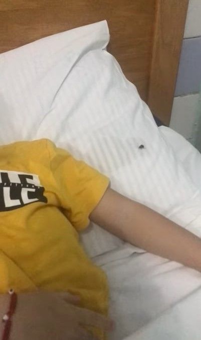 Тараканы в детских палатах и кроватях: шокирующие кадры сняли в Бельцкой больнице