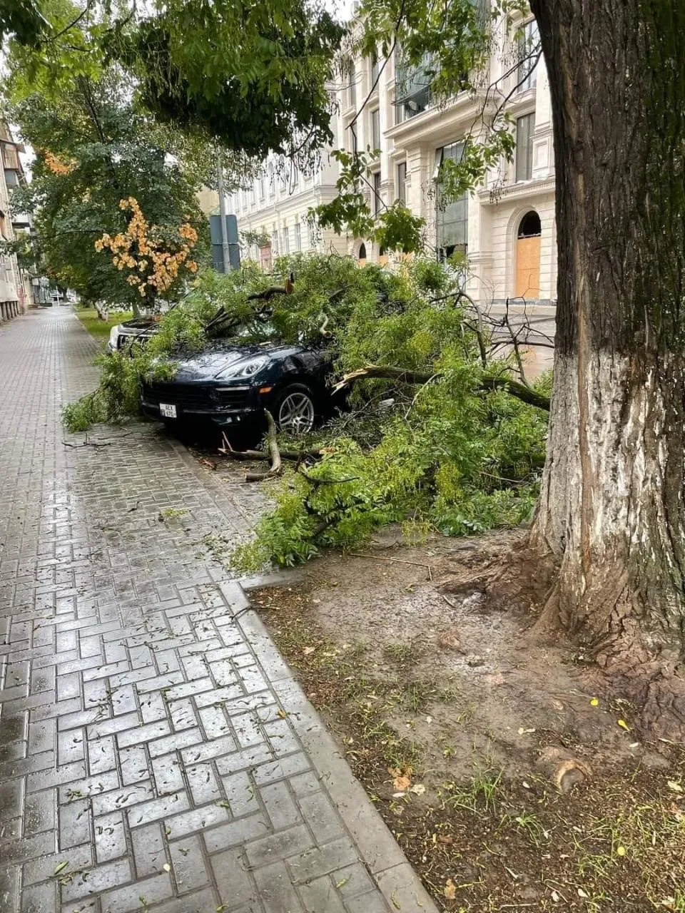 Ploi puternice în Chișinău: Crengi rupte și mai multe străzi, inundate
