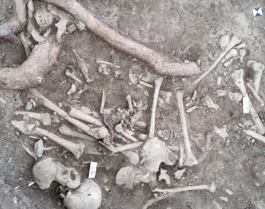 Arheologii din Germania au dezgropat mormântul unui zombie cu o piatră pe piept