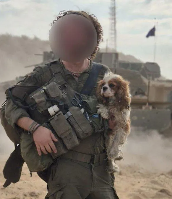 Soldații israelieni au întors acasă un câine răpit de Hamas acum 550 de zile