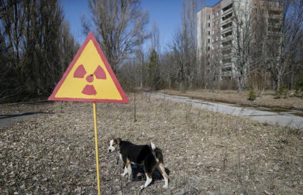 Как выглядит Чернобыль 30 лет спустя