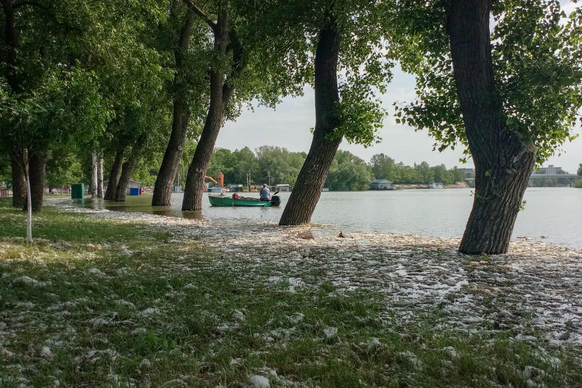 Спасатели не советуют купаться в Днестре