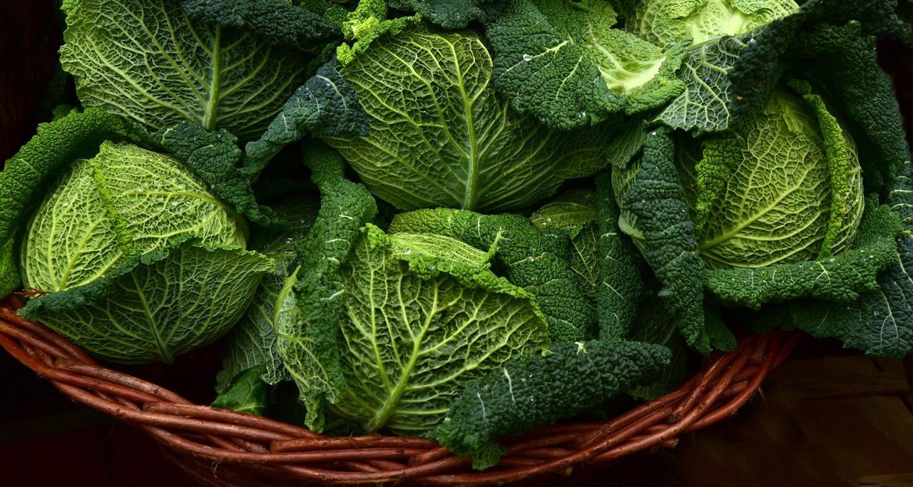 Диетологи назвали продукты, которые помогут защититься от коронавируса