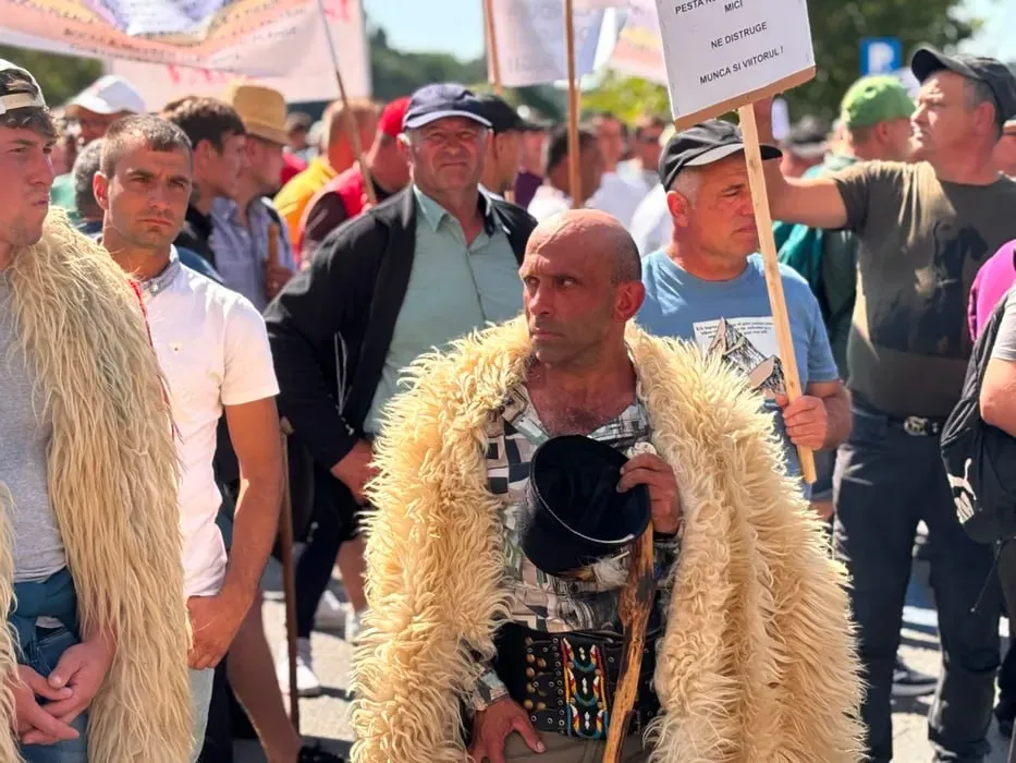 В Румынии протесты из-за запрета на экспорт овец и коз переросли в столкновения