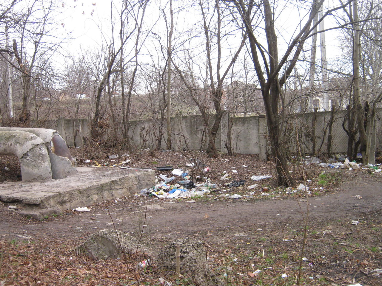 Бельчане жалуются на мусор в городе