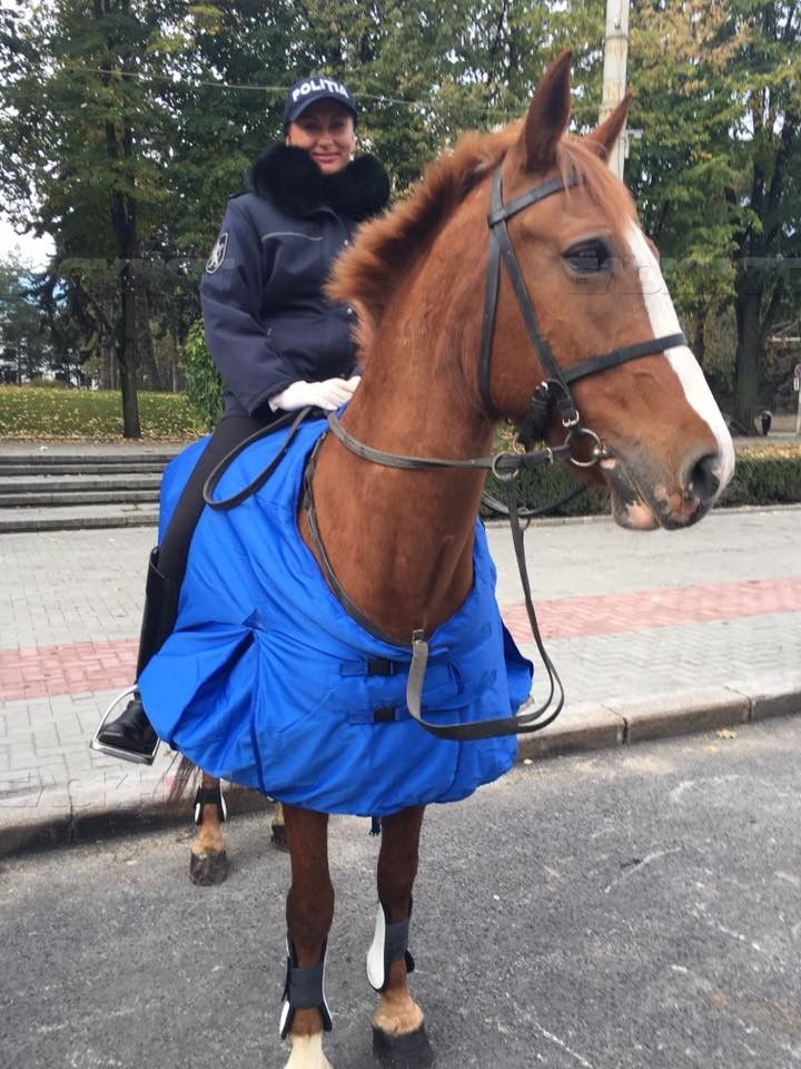 Порядок в центре Кишинева охраняет Fulger
