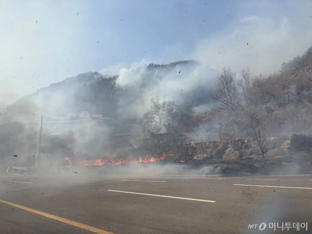 Peste 20 de incendii de vegetație mistuie Coreea de Sud: Există morți și persoane dispărute