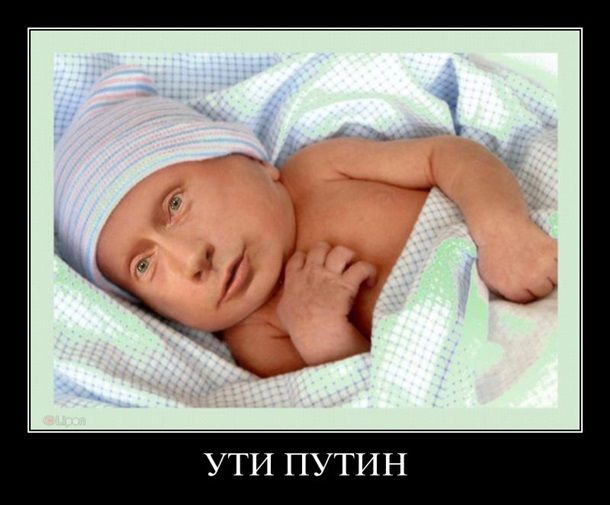 В Египте родился Путин: сеть шутит мемами