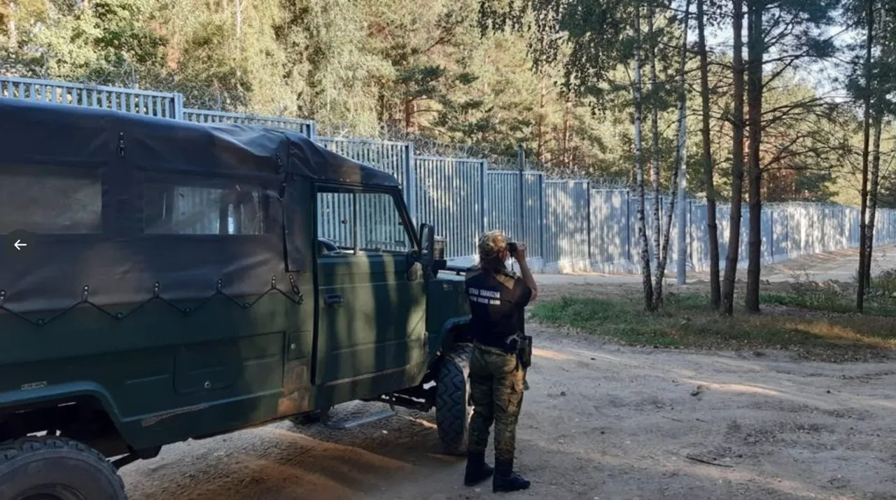 Польша возвела стену на границе с Беларусью