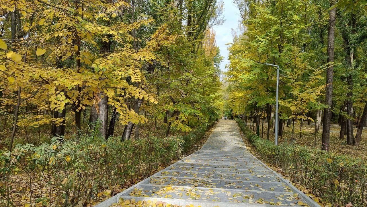 В лесопарке «Бутояш» полным ходом идут восстановительные работы