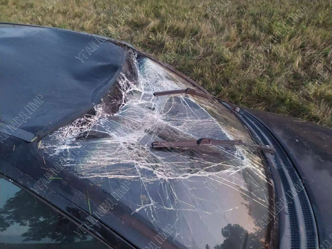 В Григориопольском районе автомобиль занесло на мокрой дороге