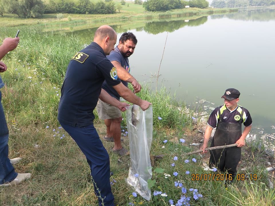 Tone de pește mort în iazul din localitatea Dereneu