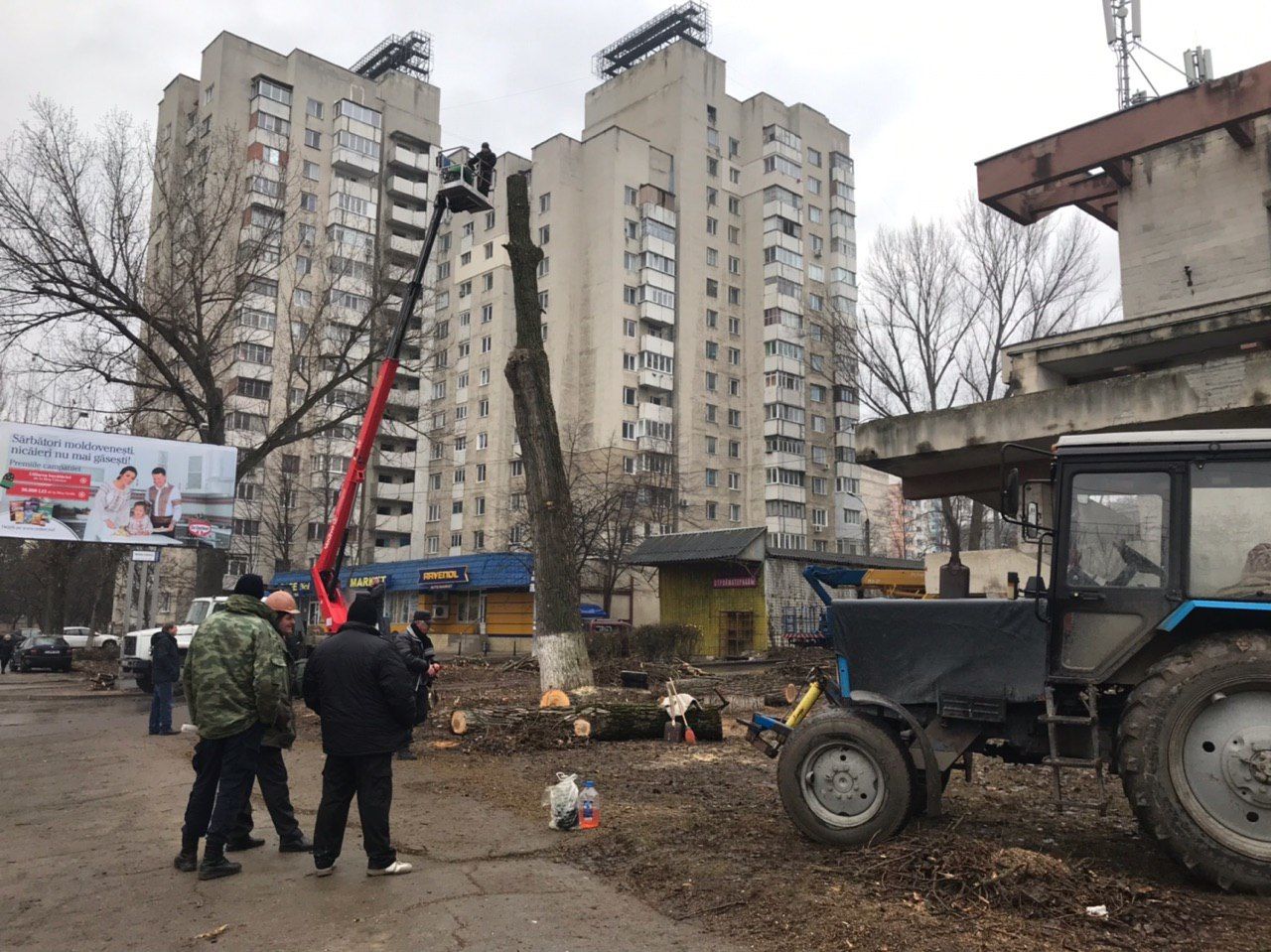 В Кишиневе возле канатной дороги вырубают деревья и работают геодезисты