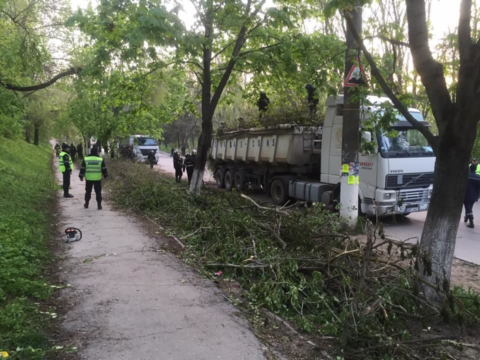 Mii de persoane evacuează crengile rupte. Chișinăuenii, îndemnați să folosească transportul public