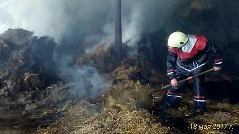 В Теленештах пожарные спасли 250 коров
