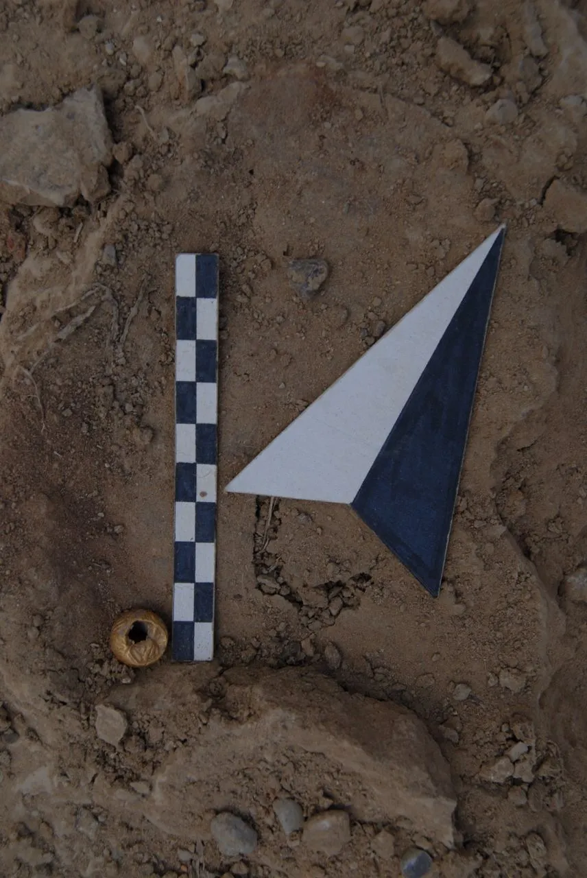 Археологи нашли подношения Посейдону в храме затопленного 2300 лет назад города