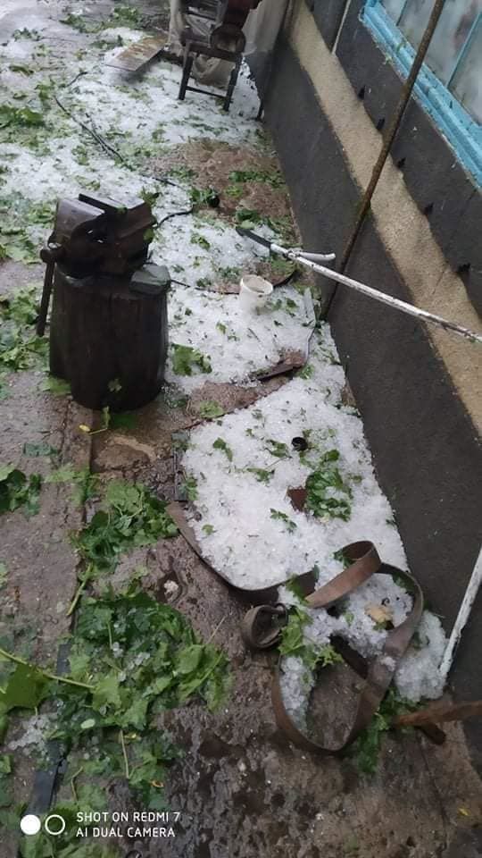 В Каушанском районе хозяйства терпят убытки из-за ливня с градом