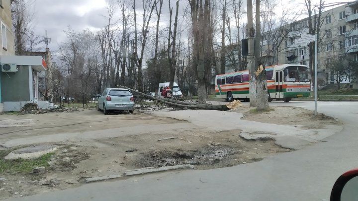 Разгул стихии: ветер валит деревья с корнем и срывает крыши и обшивку зданий