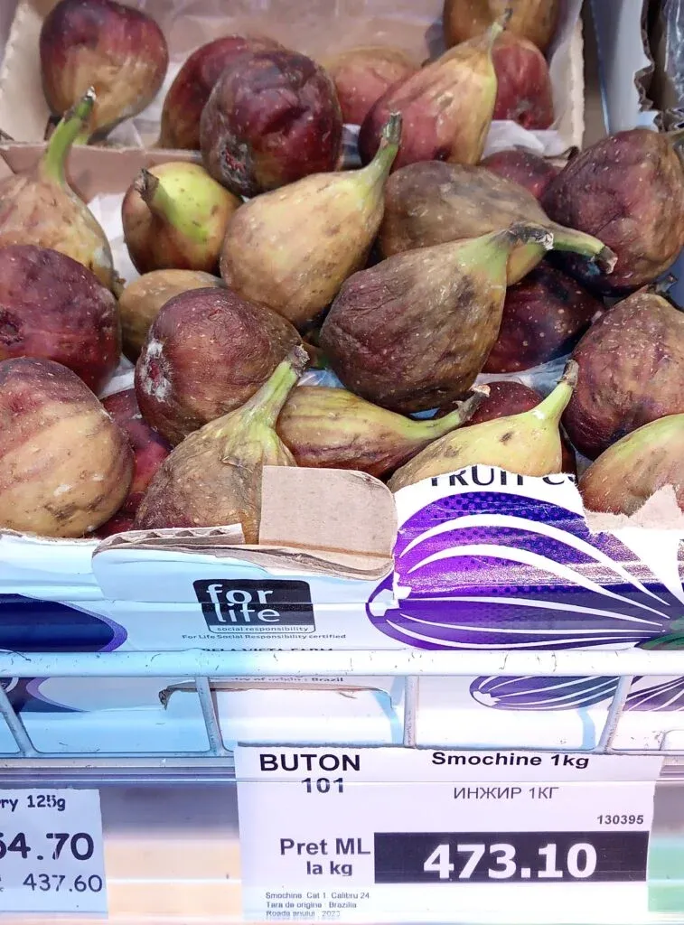 Эксперты ТУМ: Инжир может стать новым продуктом плодоводства в Молдове