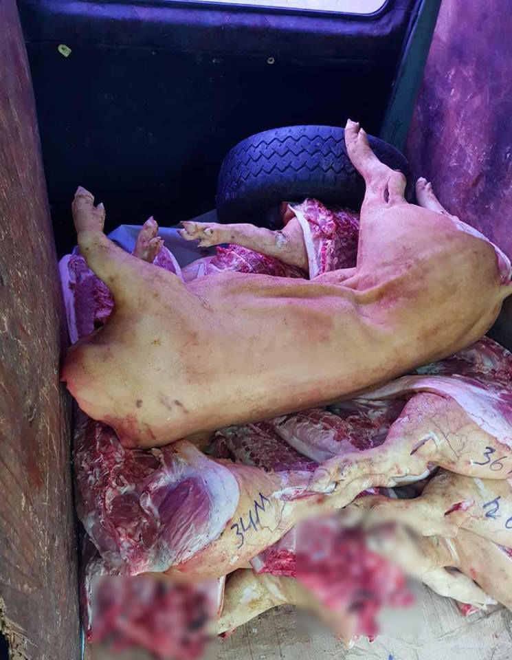 Carne de porc cu termen expirat urma să ajungă în piețele din Capitală
