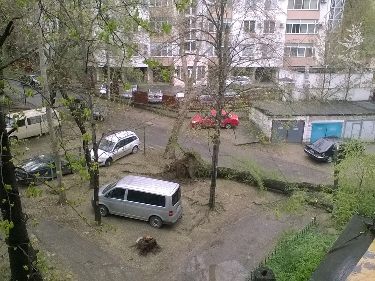 Еще одно дерево упало на бул. Негруцци