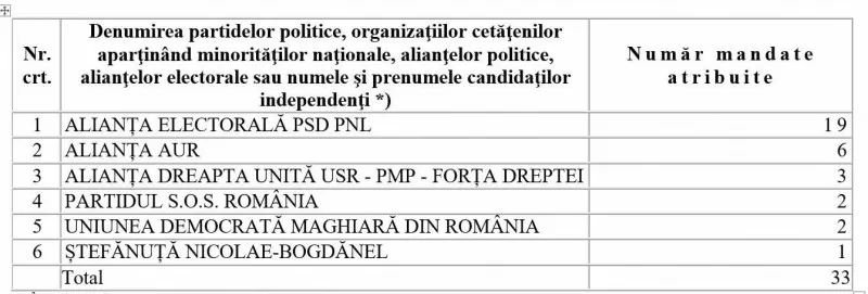 Румынский сенатор Диана Шошоакэ проходит в Европарламент
